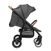 Прогулочная коляска Caretero Elma, Темно-Серый
