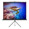 Ecran cu stativ Reflecta Crystal-Line, 1:1