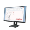 Монитор Lenovo ThinkVision E24-40 Чёрный - 23.8
