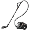 Aspirator Rowenta RO7C89EA Negru - Uscată | 900 W | Container | 2.5 l