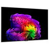 55" OLED SMART Телевизор LG OLED55G64LW Черный - 3840x2160 px | 165 Hz | 60Вт | webOS 55