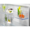 Frigider Electrolux LND5FE18S Alb - Cu două uși | 177.2 cm | 267 l | E Frigider Electrolux LND5FE18S Alb - Cu două uși | 177.2 cm | 267 l | E