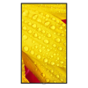 Display NEC MultiSync M651-2 65" Negru - 60 Hz | 3840x2160 | 165 W Display NEC MultiSync M651-2 65