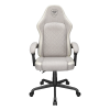 Игровое кресло Cougar Fusion EX Ткань Ash F - Сталь | Класс 4 | 119 - 126 см Игровое кресло Cougar Fusion EX Ткань Ash F - Сталь | Класс 4 | 119 - 126 см