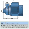 Водяной насос PKm65 3000 л/ч 0.8 кВт 220 - 240 В Pedrollo