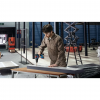 Шуруповёрт GSR 18V-50 50 Нм 2.0 Ач 18 В 0 – 460/1.800 об/мин Bosch Шуруповёрт GSR 18V-50 50 Нм 2.0 Ач 18 В 0 – 460/1.800 об/мин Bosch