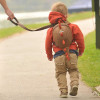 Детский рюкзак Динозавр little life Dinosaur Toddler Backpack with Rein