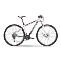 Велосипеды BIG CURVE RC 29" 30-G DEORE MIX 14 HAIBIKE WHITE/GREY/BLACK FS 48