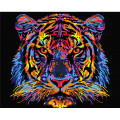Pictură pe numere 40*50 сm (pânză neagră/fără cutie) – Tigru multicolor Pictură pe numere 40*50 сm (pânză neagră/fără cutie) – Tigru multicolor
