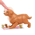 Set de joc Barbie „Cățeluși nou-născuți” Set de joc Barbie „Cățeluși nou-născuți”