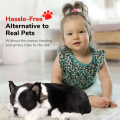 Cățeluș „Boston Terrier” cu imitație de respirație Cățeluș „Boston Terrier” cu imitație de respirație