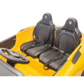 Mașinuță MASERATI MC20, Baterie 12V7AH, 2 motoare de 60W, roti EVA