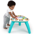 Развивающая игрушка Baby Einstein «Умный композитор»