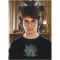 Puzzle „Portretul lui Harry”, seria Harry Potter, 450 elem. Puzzle „Portretul lui Harry”, seria Harry Potter, 450 elem.