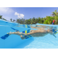 Bestway Set de înot (labe, mască, snorkel), 7+, 2 culori Bestway Set de înot (labe, mască, snorkel), 7+, 2 culori