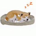 Cățeluș „Shiba Inu” cu imitație de respirație Cățeluș „Shiba Inu” cu imitație de respirație