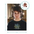 Puzzle „Portretul lui Harry”, seria Harry Potter, 450 elem. Puzzle „Portretul lui Harry”, seria Harry Potter, 450 elem.