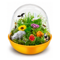 DIY Set educațional „Habitat de Safari” Nikola Tesla