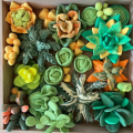 DIY Набор для творчества из воздушного пластилина Air Clay «Энергия» DIY Набор для творчества из воздушного пластилина Air Clay «Энергия»
