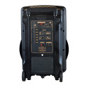 Портативная колонка Spacer Bluetooth LION, 120W SPB-A25-BT