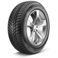 Шины NEXEN WG Ice Plus 195/55 R-16