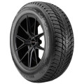 Шины NEXEN WG Ice Plus 225/50 R-17