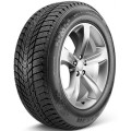 Шины NEXEN WG Ice Plus 245/45 R-17