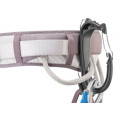 Carabinieră pentru echipament Petzl Caritool Evo Carabinieră pentru echipament Petzl Caritool Evo
