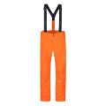 Pantaloni schi Hannah Slater FD Mns puffins bill (Mărime: L)