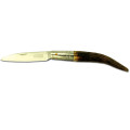 2114 MAM POCKET KNIFE WITH DEER HORN HANDLE