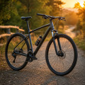 Biciclete