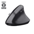 Mouse ergonomic wireless Trust Bayo+ / 2.4GHz/ Bluetooth/ Black