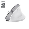 Mouse ergonomic wireless Trust Bayo+ / 2.4GHz/ Bluetooth/ White