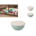 Миска пластиковая с крышкой Phibo 0.85l, 16.5cm