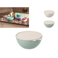 Миска пластиковая с крышкой Phibo 1.55l, 19.5cm