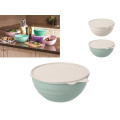 Миска пластиковая с крышкой Phibo 2.8l, 24.5cm