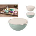 Миска пластиковая с крышкой Phibo 3.7l, 27cm