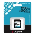 Карта памяти Kingston Canvas Go! Plus, 256Гб (SDG4/256GB) Карта памяти Kingston Canvas Go! Plus, 256Гб (SDG4/256GB)