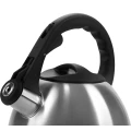 Ceainic Polaris Verde, 2,2L, Argintiu