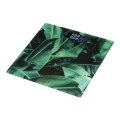 Электронные напольные весы Ardesto SCB-965LEAVES, Зелёный