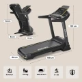 Беговая дорожка Zipro Pacemaker Gold iConsole+