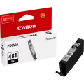 Картридж чернильный Canon CLI-481, 2101C001, Черный Картридж чернильный Canon CLI-481, 2101C001, Черный