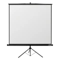 Ecran cu stativ Reflecta Crystal-Line, 1:1
