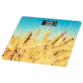 Cântar de podea Ardesto SCB-965WHEAT, Galben Cântar de podea Ardesto SCB-965WHEAT, Galben