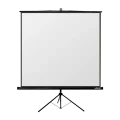 Ecran cu stativ Reflecta Crystal-Line, 1:1