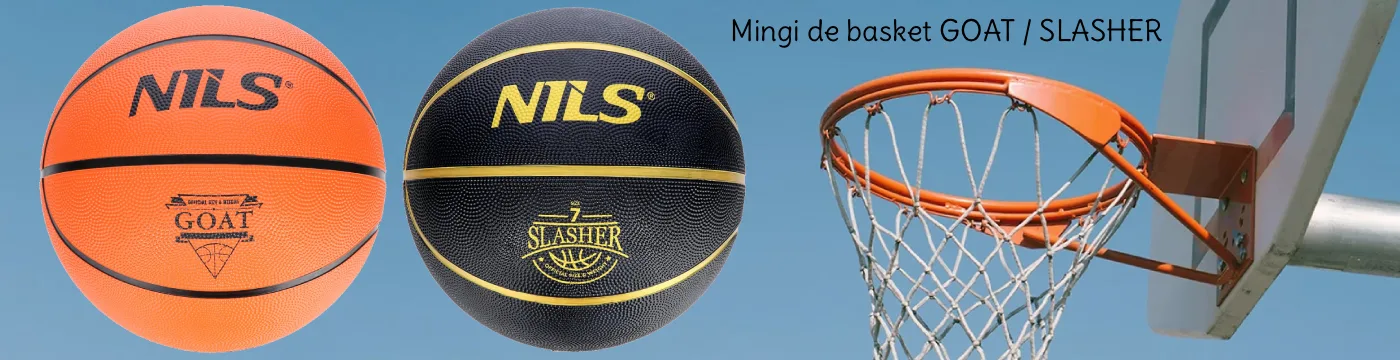 mingi basket moldova