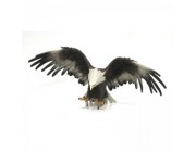 Элемент декор vultu, который летает H 25 см, L 60 см, D 22 см.
