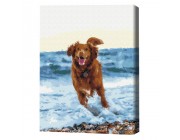 Картина по номерам (в упаковке)  Собачка в море