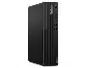 Lenovo ThinkCentre M70s SFF Black (Pentium Gold G6400 4.0GHz, 4GB RAM, 256GB SSD, DVD-RW)

