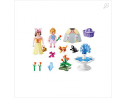 PM70293 Princess Gift Set